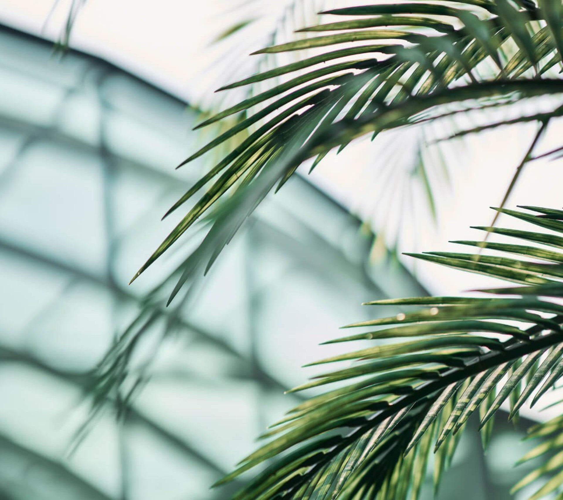 Therme Bad Schallerbach