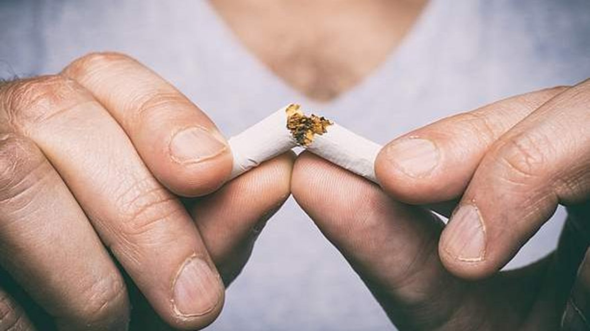 © mbruxelle, Adobe Stock