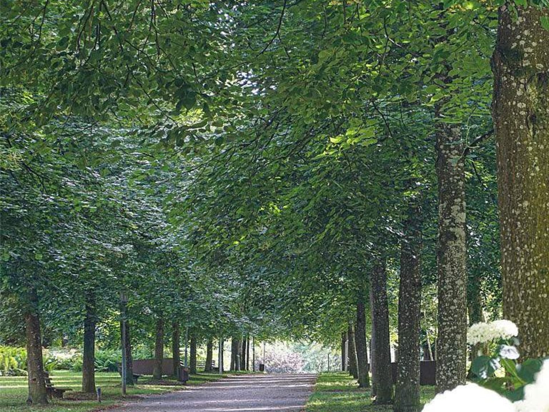 © Viktoria Resch, www.mymirrorworld.com