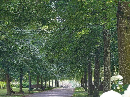 © Viktoria Resch, www.mymirrorworld.com © Viktoria Resch, www.mymirrorworld.com