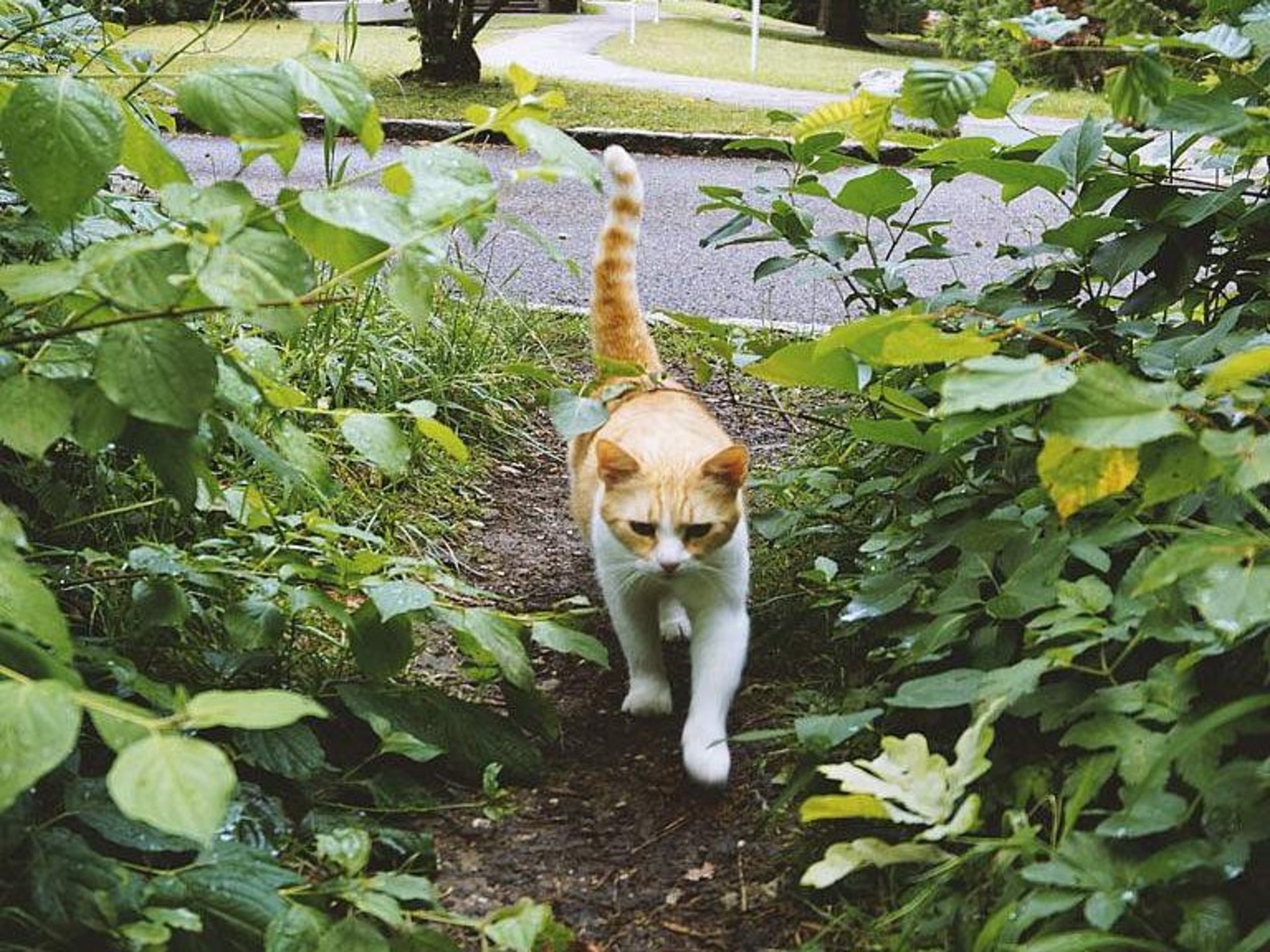 © Viktoria Resch, www.mymirrorworld.com