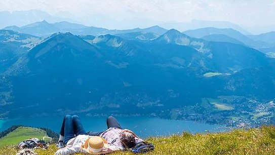 © animaflora, Adobe Stock