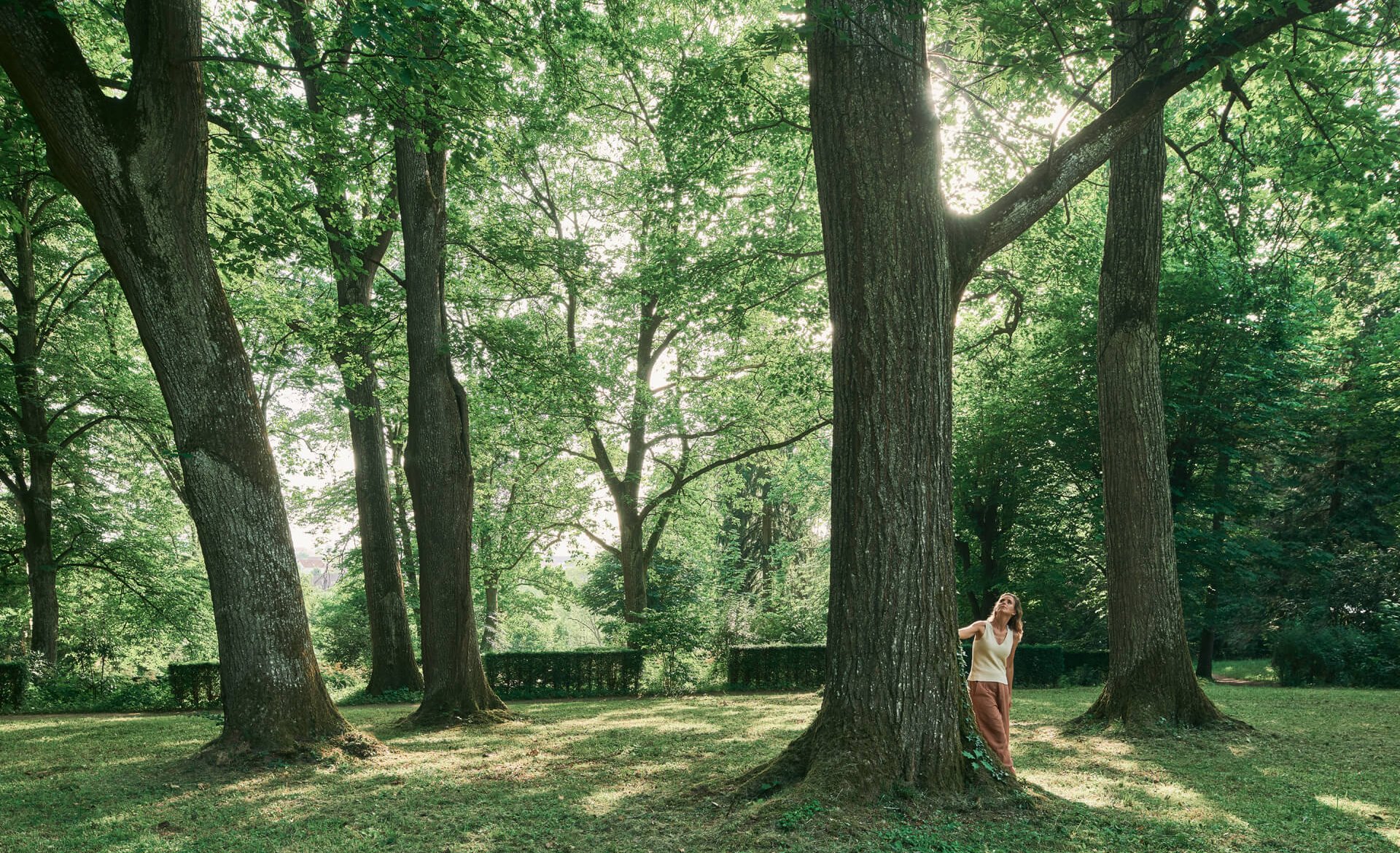 Waldbaden in Bad Hall
